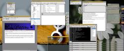 Muhrisoft meets Gtk+ Inc.. read the pronto compose window for more info.