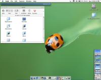 OSX Shot!! Featuring GKrellM - next one will feature SkipStone & Pronto since I got them ported ;)