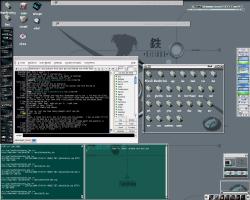 GTK etheme, GKrellM with OSX skin and BlueCyrus skins.. Xmms with phorce skin.. CSCMail, xchat, etc... most importantly EFM !! It rocks :) notice the desktop icons and the dir view ...